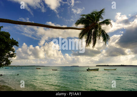 Barche da pesca ancorate in mare, spiaggia Ngilngof, Kai, ISOLE MOLUCCHE, INDONESIA Foto Stock