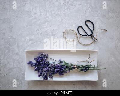 La lavanda su una piastra con una corda e un paio di forbici Foto Stock