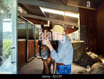 Un uomo anziano con un cappello in piedi vicino a un cavallo in una stalla, trattenendola. Foto Stock