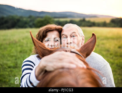 Un pazzo coppia senior in piedi da un cavallo fuori in natura, guardando sopra la sua testa. Foto Stock