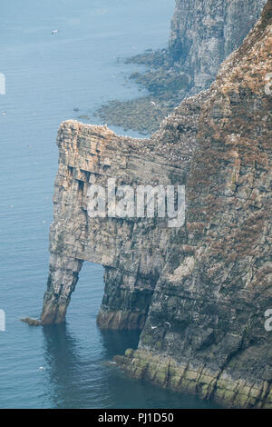 Un arco di mare nelle scogliere a Bempton dove 13.500 sule nido ogni anno. Foto Stock