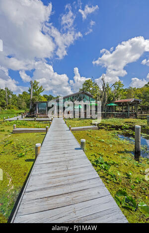 Clarks Fish Camp è un esclusivo e rustico ristorante di pesce si trova sul Julington Creek, un affluente del fiume del St Johns a Jacksonville, in Florida. Foto Stock