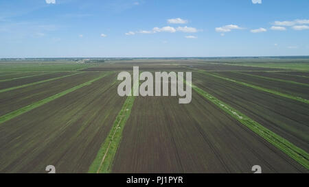 Vista aerea di prodotti agricoli e campi coltivati. Il paesaggio agricolo righe. Terreni agricoli irrigati. Campagna con campi di colture. Foto Stock