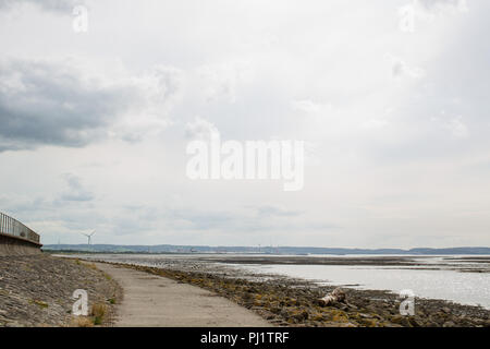 Severn modo è un itinerario a piedi lungo tutta la Severn Valley dalla sorgente al mare. Questa sezione è a South Gloucestershire, vicino a Bristol Foto Stock