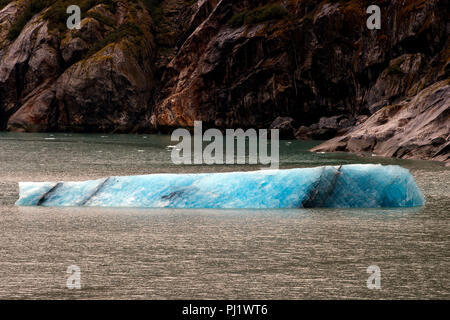 Iceberg, Tracy Arm Fjord, Tracy Arm-Fords terrore deserto, Alaska, Stati Uniti d'America Foto Stock