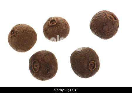 Allspices o pepe di Giamaica isolati su sfondo bianco. Vista dall'alto. Foto Stock