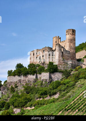 Ehrenfels (Castello Schloss) vicino a Bingen am Rhein sul fiume Reno Foto Stock