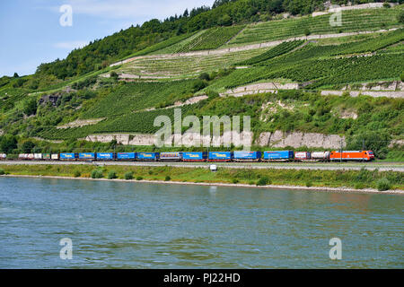 Treno merci passando davanti a filari di viti crescente sulla collina lungo le rive del fiume Reno Foto Stock