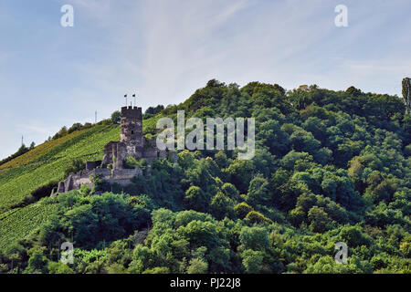 Fürstenberg Castello a Rheindiebach, ormai in rovina, fu costruito nel 1219 dall'Arcivescovo di Colonia Foto Stock