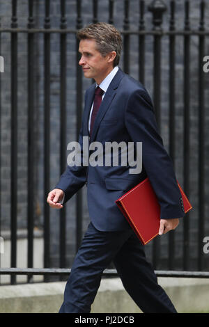 Londra, UK, 4 sett 2018. Gavin Williamson CBE MP il Segretario di Stato per la difesa partecipa a una riunione del gabinetto a 10 Downing Street, Londra Credito: WFPA/Alamy Live News Foto Stock