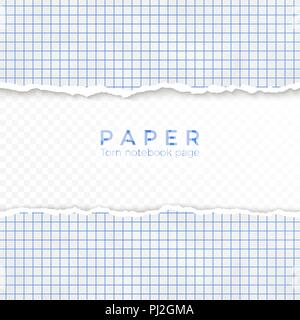 Bordo strappato di blu carta quadrettata. Frammenti di carta quadrettata da notebook. Pagina vuota isolata su sfondo trasparente. Illustrazione Vettoriale Illustrazione Vettoriale