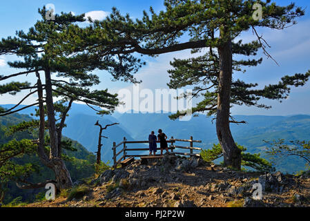 I turisti su Banjska Stena, Tara National Park, Serbia Foto Stock