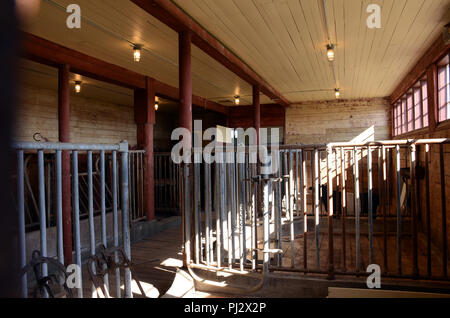 Interno di un fienile, Ministri Island, New Brunswick Foto Stock