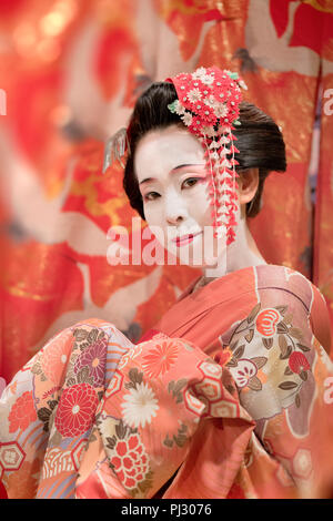 Giapponese geisha maiko o in rosso kimono in piega i capelli spilla con motivi di bianco e rosso fiori di susina. Foto Stock
