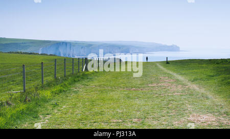 Testa di Seaford Naturue riserva, East Sussex, Inghilterra. Vista di chalk cliffs, parte di sette sorelle National Park in mattinata haze, percorso della Beachy Head, il fuoco selettivo Foto Stock