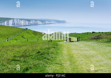 Testa di Seaford Naturue riserva, East Sussex, Inghilterra. Vista di chalk cliffs, parte di sette sorelle National Park in mattinata haze, percorso della Beachy Head, il fuoco selettivo Foto Stock