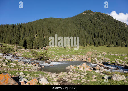 Valle di Altyn-Arashan nel tardo pomeriggio con un torrente in primo piano in Kirghizistan Foto Stock