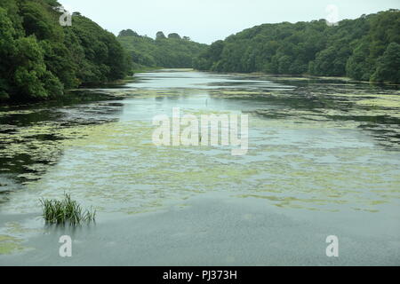 Vista da otto ponte di Arco, Stackpole station wagon, Pembrokeshire, Galles Foto Stock