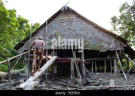 Vecchio sciamano a bordo a piedi per la casa tradizionale su colonne, Mentawai, Siberut, Indonesia Foto Stock