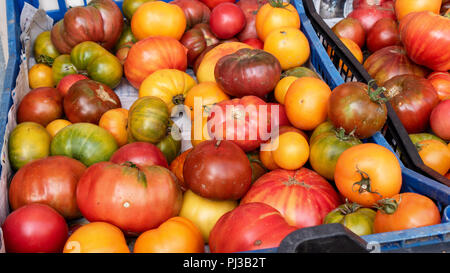 Il rustico diversi pomodori dal mercato Foto Stock