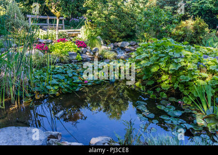 Un stagno riflette la circostante giardino giapponese di Seatac, Washington. Foto Stock