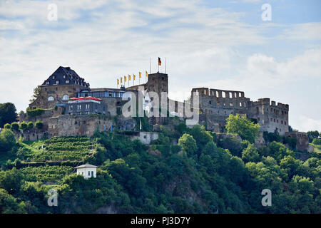 Rheinfels Castello (Burg Rheinfels), Sankt Goar, Germania. In gran parte ad una rovina ma parte restaurato come un hotel. Il castello risale al XIII secolo. Foto Stock