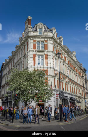 Altbau, Leicester Square, Garrick St, Londra, Inghilterra, Grossbritannien Foto Stock