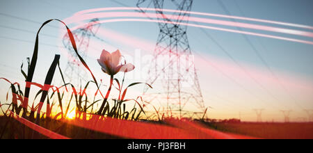 Immagine composita della linea grigia design Foto Stock