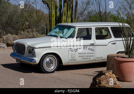 Studebaker Lark 8 automobile con muro bianco pneumatici. Foto Stock