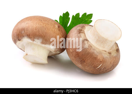 Royal Brown champignon con prezzemolo a foglia isolati su sfondo bianco Foto Stock