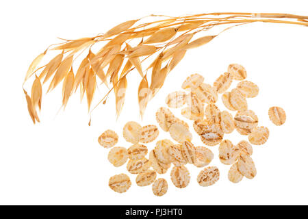 Oat spike con fiocchi di avena isolati su sfondo bianco. Vista superiore Foto Stock