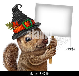 Halloween scoiattolo Nozione di segno come simpatico roditore felice con spider indossando un witch hat tenendo un cartello bianco come un momento di festa in autunno e in autunno. Foto Stock