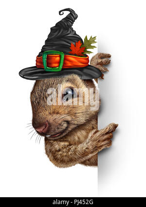 Halloween scoiattolo concetto banner come carino felice wildlife indossando un witch hat tenendo un cartello bianco come un momento di festa in autunno e in autunno le vacanze. Foto Stock