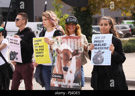 Copenhagen, Danimarca - 1 Settembre 2018: vegani e vegetariani per la liberazione degli animali protesta contro una manifestazione contro la crudeltà verso gli animali e ea Foto Stock