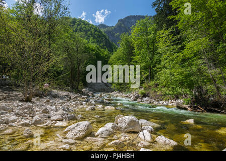 Meravigliosa natura, passeggiate escursioni nel Parco Nazionale del Triglav vicino a Ukanc e cascata Savica Slap Bohinj, sulla valle e sul lago, Superiore Carniolan, Slovenia, Euro Foto Stock