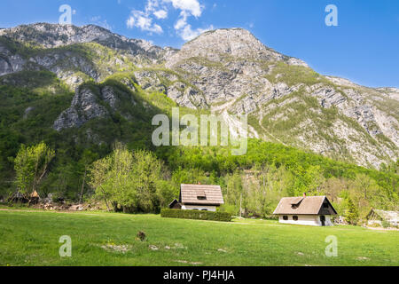 Meravigliosa natura, passeggiate escursioni nel Parco Nazionale del Triglav vicino a Ukanc e cascata Savica Slap Bohinj, sulla valle e sul lago, Superiore Carniolan, Slovenia, Euro Foto Stock