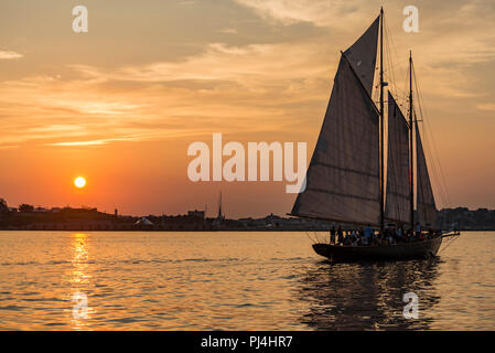 A Tall Ship nel Casco Bay a Portland, Maine Foto Stock