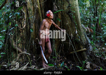 Vecchio sciamano della tribù Mentawai coperto con tatoo in piedi in un vecchio albero nella giungla con una spada in mano, Siberut, Sumatra, Indonesia Foto Stock