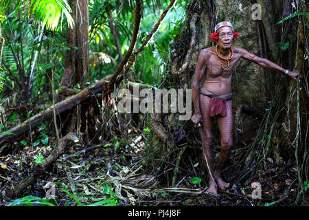 Vecchio sciamano della tribù Mentawai coperto con tatoo in piedi in un vecchio albero nella giungla con una spada in mano, Siberut, Sumatra, Indonesia Foto Stock