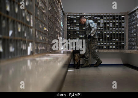 Stati Uniti Air Force Staff Sgt. La Giordania Leiter, 52nd forze di sicurezza militari squadrone cane da lavoro gestore, conduce alla formazione di rivelazione nell'ufficio postale a Spangdahlem Air Base, Germania, Agosto 28, 2018. Leiter ha portato Dirk, una MWD, circa la possibilità di apprendere come per la ricerca di ordigni esplosivi artigianali, armi e droga. (U.S. Air Force foto di Airman 1. Classe Valerie Seelye) Foto Stock