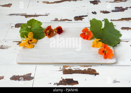 Fiori e foglie di zucca su una bianca tavolo in legno Foto Stock