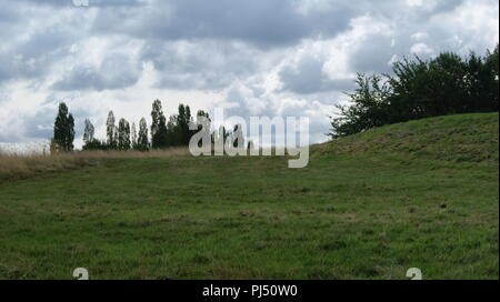 Newbold Comyn riserva naturale, leamington spa, Regno Unito Foto Stock