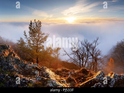 Tramonto sopra le nuvole Foto Stock