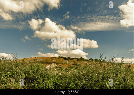 Il Badge Fovant sono una serie di badge regimental tagliato in un chalk hill, Fovant giù, vicino Fovant, nel sud-ovest della Wiltshire, Inghilterra Foto Stock