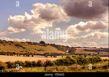 Il Badge Fovant sono una serie di badge regimental tagliato in un chalk hill, Fovant giù, vicino Fovant, nel sud-ovest della Wiltshire, Inghilterra Foto Stock