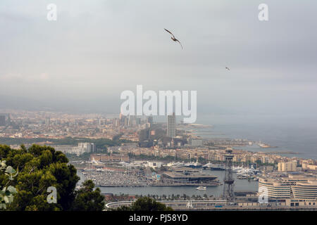 Seagull volando sopra la città di Barcellona sul mare mediterraneo sulla costa. Vista sul litorale di Barcellona dalla collina di Montjuic in sera Nuvoloso in maggio. Foto Stock