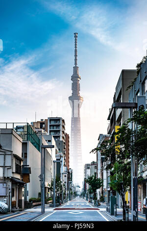 Kinshicho, Tokyo - Giappone - Giugno 22, 2018: la strada principale a Tokyo Skytree presso sunrise Foto Stock