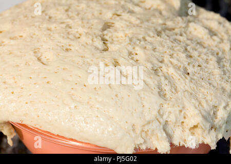 Primo luogo di pasta di pane in una terrina - USA Foto Stock