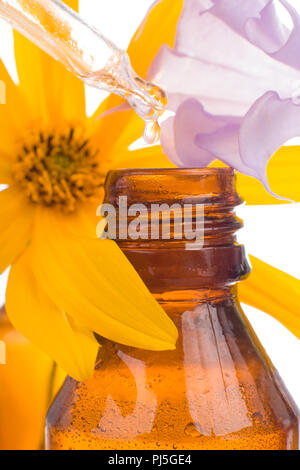 Goccia che cade da un contagocce di olio essenziale. Rimedi naturali - FLORITERAPIA BACHA. Foto Stock