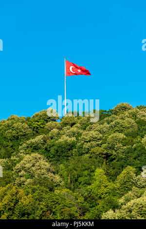 Bandiera della Turchia volando sopra la foresta Foto Stock